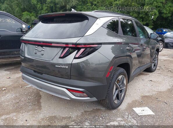 KM8JCDD17TU450078 2026 HYUNDAI TUCSON HYBRID Gray Tył prawy