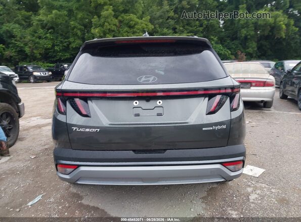 KM8JCDD17TU450078 2026 HYUNDAI TUCSON HYBRID Gray 