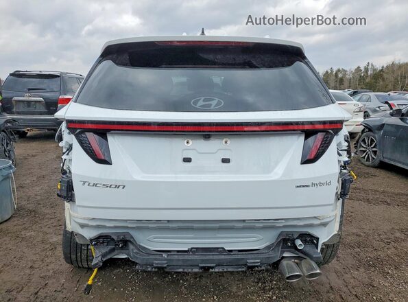 KM8JCDD1XSU250763 2025 HYUNDAI TUCSON White Вид ззаду