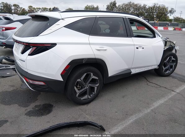 KM8JECA10PU133595 2023 HYUNDAI TUCSON HYBRID White უკანა მარჯვენა
