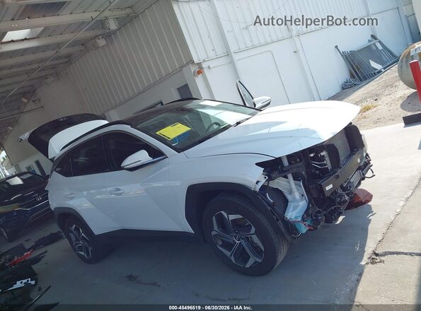 KM8JECA18PU126247 2023 HYUNDAI TUCSON HYBRID White Вид задньої частини салону