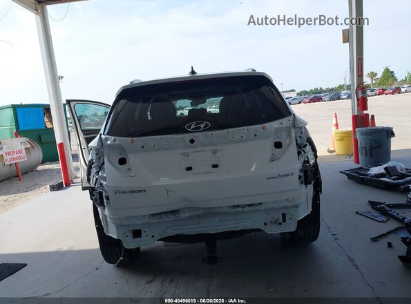 KM8JECA18PU126247 2023 HYUNDAI TUCSON HYBRID White 