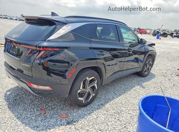 KM8JECD14RU205252 2024 HYUNDAI TUCSON Black Հետևի աջ