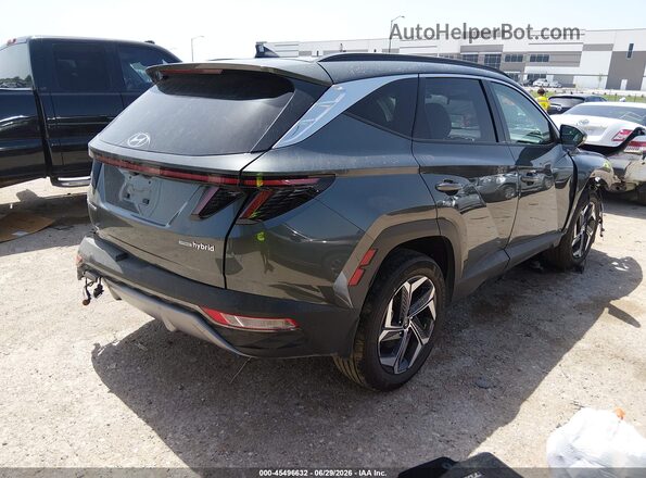 KM8JECD15RU223971 2024 HYUNDAI TUCSON HYBRID Gray Tył prawy