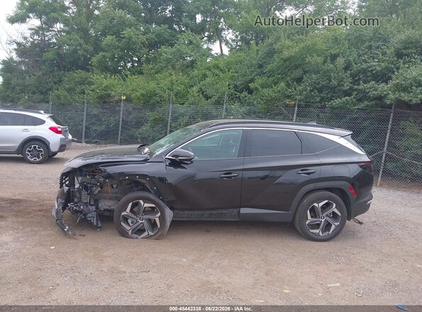 KM8JECD16RU199891 2024 HYUNDAI TUCSON HYBRID Black სალონის 360-გრადუსიანი ხედი