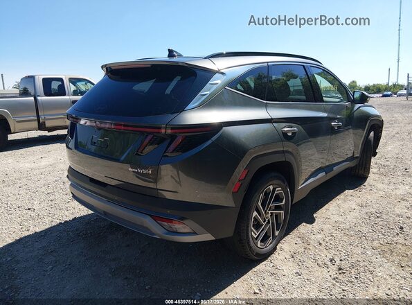 KM8JEDD10TU415358 2026 HYUNDAI TUCSON HYBRID Gray უკანა მარჯვენა