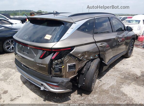 KM8JEDD11TU405082 2026 HYUNDAI TUCSON HYBRID Green Tył prawy