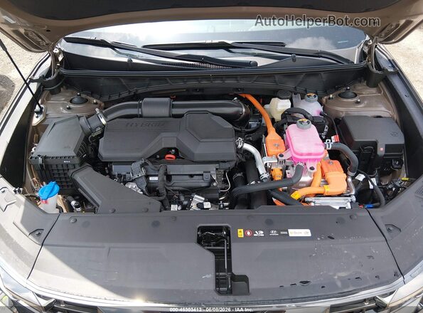 KM8JEDD11TU405082 2026 HYUNDAI TUCSON HYBRID Green Widok z tyłu