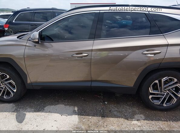 KM8JEDD11TU405082 2026 HYUNDAI TUCSON HYBRID Green Widok wnętrza z tyłu