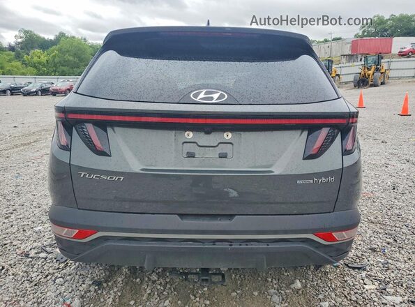 KM8JFCA19PU090632 2023 HYUNDAI TUCSON Green Vista trasera
