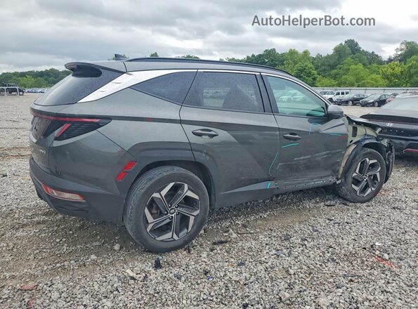 KM8JFCA19PU090632 2023 HYUNDAI TUCSON Green Trasero derecho