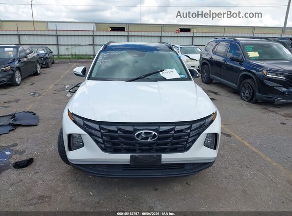 KM8JFCA1XPU105087 2023 HYUNDAI TUCSON HYBRID White Սալոնի հետևի տեսք