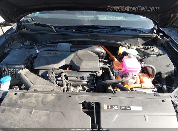 KM8JFCD13RU150158 2024 HYUNDAI TUCSON HYBRID Black Вид ззаду