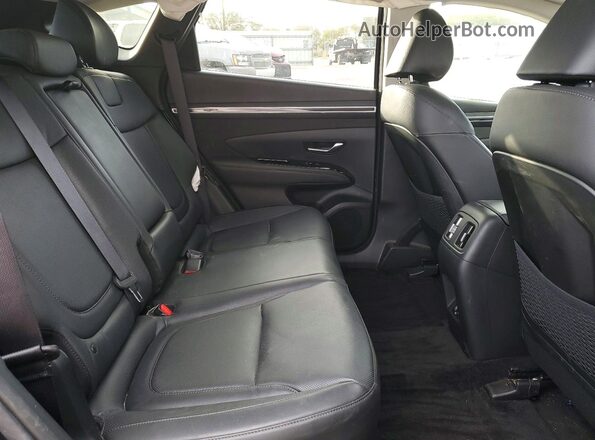 KM8JFDD22RU169587 2024 HYUNDAI TUCSON Синий 