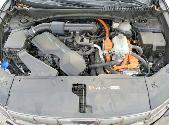KM8JFDD22RU169587 2024 HYUNDAI TUCSON Синий 