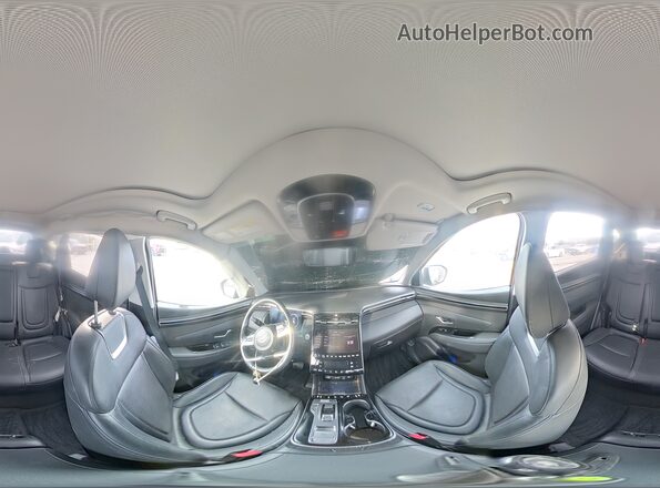 KM8JFDD22RU169587 2024 HYUNDAI TUCSON Синий 