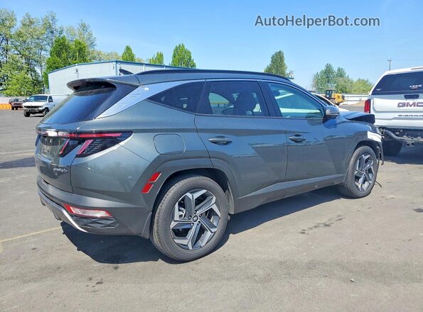 KM8JFDD26RU219844 2024 HYUNDAI TUCSON Charcoal Rear right
