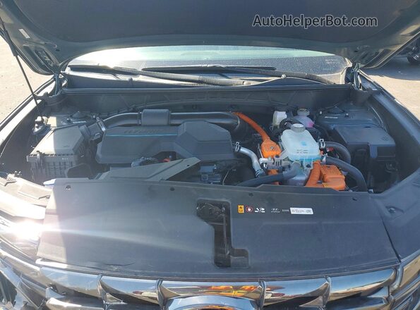 KM8JFDD26RU219844 2024 HYUNDAI TUCSON Charcoal Rear interior view