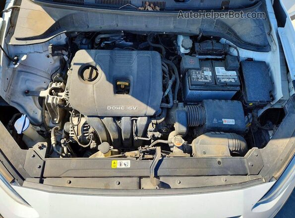 KM8K62AAXJU101093 2018 HYUNDAI KONA Белый Вид задней части салона
