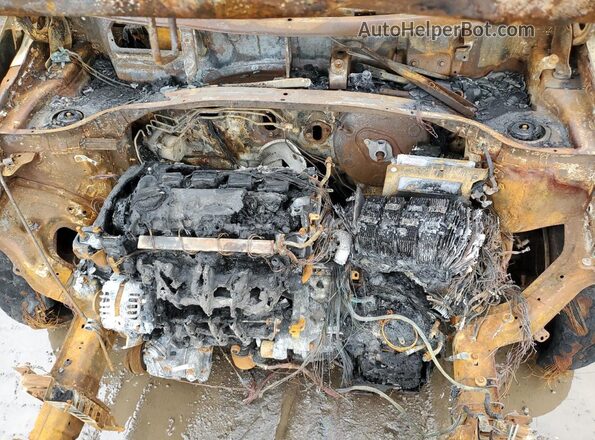 KM8K6CAA0LU433200 2020 HYUNDAI KONA Gray Սալոնի հետևի տեսք