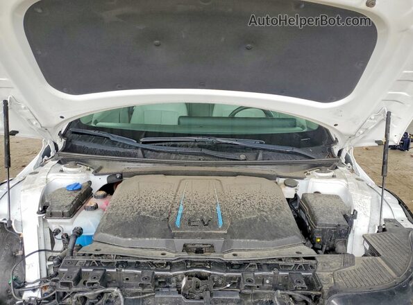 KM8KNDAF0PU216787 2023 HYUNDAI IONIQ White Вид задньої частини салону