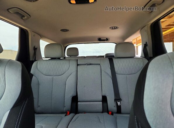 KM8R14HE3LU038696 2020 HYUNDAI PALISADE Gray Widok tylnych siedzeń