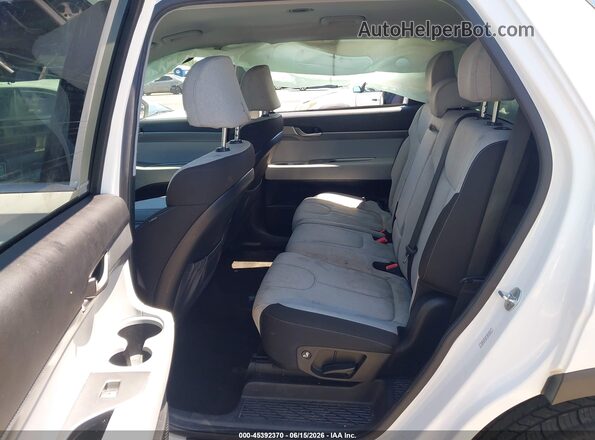 KM8R14HE7LU094446 2020 HYUNDAI PALISADE White Vista de la etiqueta del VIN