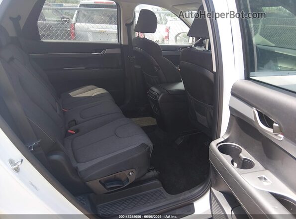 KM8R1DHE8LU051735 2020 HYUNDAI PALISADE White VIN կոդի պիտակի տեսք