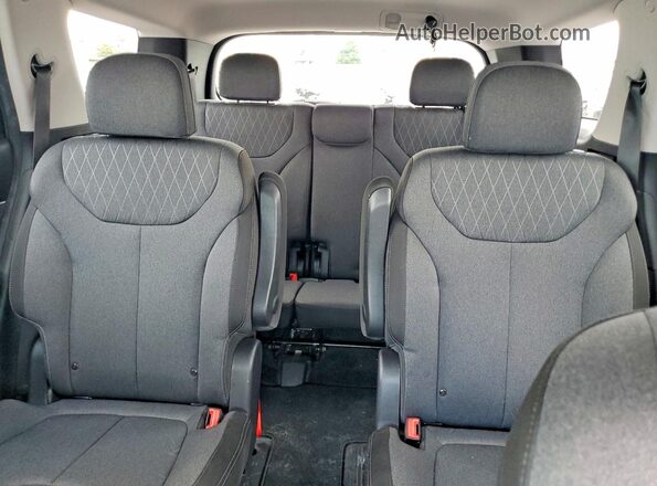 KM8R24HE2LU070391 2020 HYUNDAI PALISADE Blue 