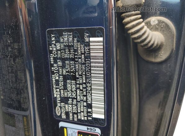 KM8R24HE2LU070391 2020 HYUNDAI PALISADE Blue 