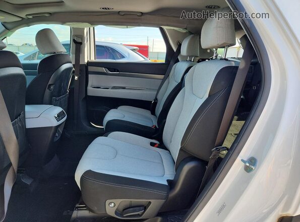 KM8R24HE2MU191486 2021 HYUNDAI PALISADE Белый Вид задней части салона