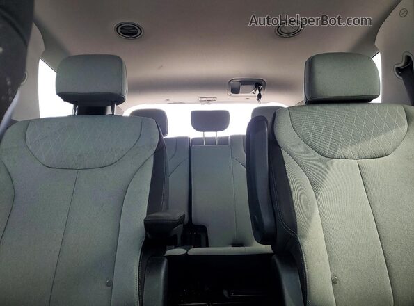 KM8R24HE9LU043947 2020 HYUNDAI PALISADE Black Vista de los asientos traseros