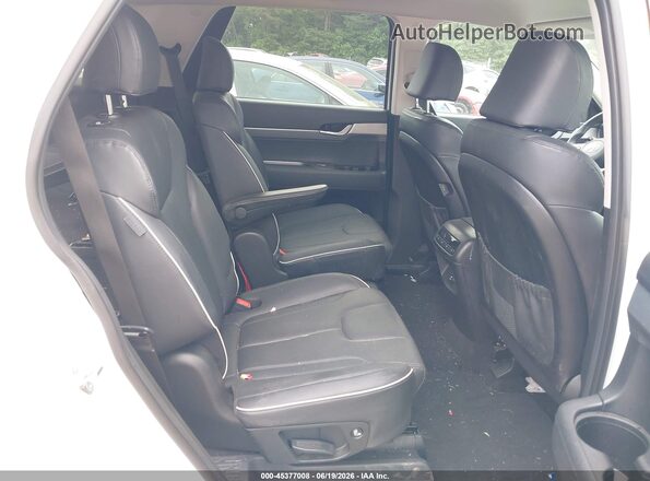 KM8R2DGE9SU828517 2025 HYUNDAI PALISADE Белый Вид наклейки с VIN-кодом