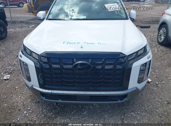 KM8R2DGEXSU955809 2025 HYUNDAI PALISADE White Вид щитка приладів