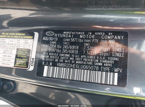 KM8R2DHE6LU065078 2020 HYUNDAI PALISADE Gray Vista del compartimento del motor