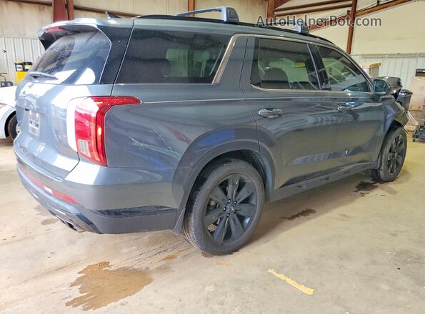 KM8R34GE1RU790188 2024 HYUNDAI PALISADE Gray Trasero derecho