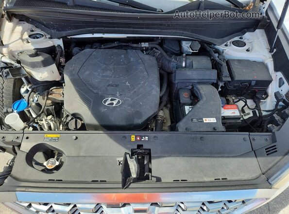 KM8R34HE0LU072024 2020 HYUNDAI PALISADE White 