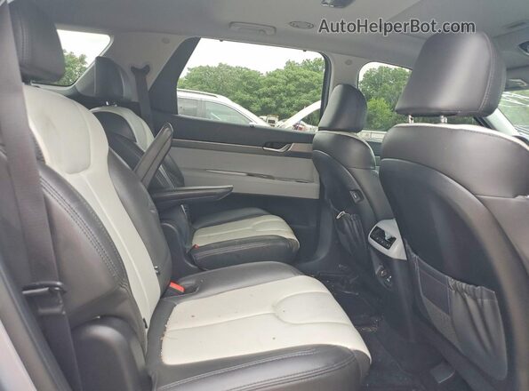 KM8R34HEXLU170056 2020 HYUNDAI PALISADE Silver Вид задньої частини салону