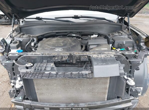 KM8R3DGE2PU533537 2023 HYUNDAI PALISADE Black Widok z tyłu