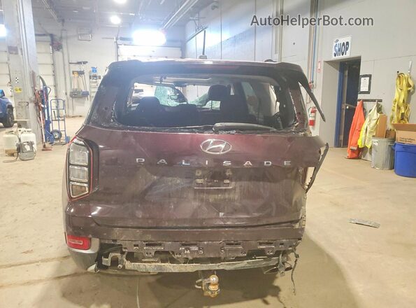KM8R3DHE5LU054263 2020 HYUNDAI PALISADE Maroon Widok z tyłu