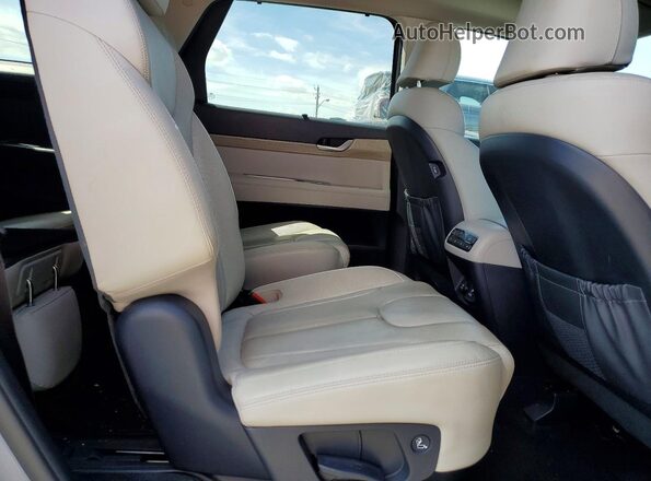 KM8R44HE2LU159601 2020 HYUNDAI PALISADE Gray Rear interior view