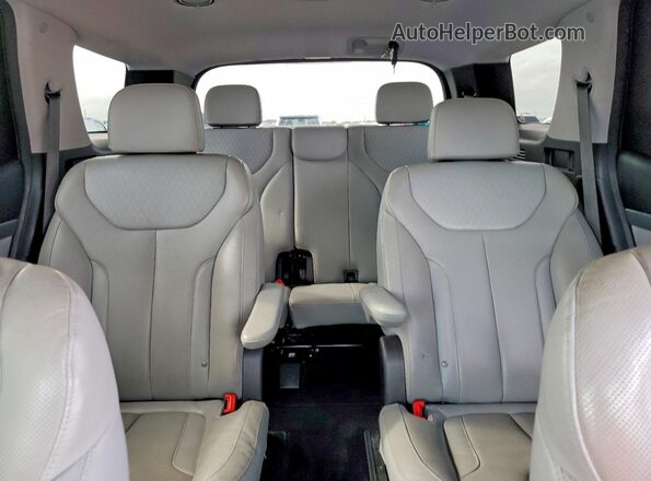 KM8R44HE5LU095506 2020 HYUNDAI PALISADE Серый 