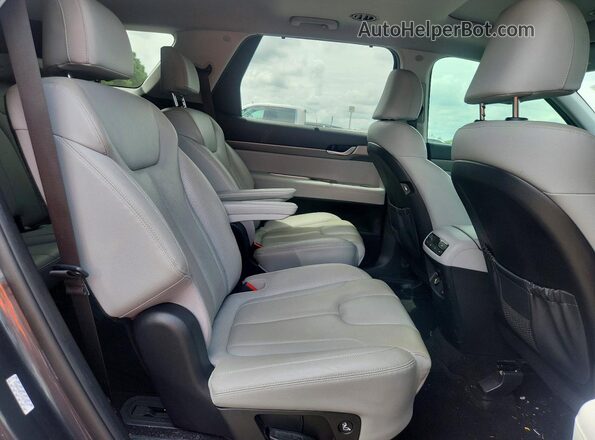 KM8R44HE7LU157617 2020 HYUNDAI PALISADE Серый Вид задней части салона