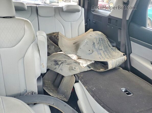 KM8R44HEXLU064512 2020 HYUNDAI PALISADE Black Vista de los asientos traseros