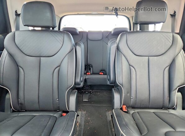 KM8R4DGE2RU744544 2024 HYUNDAI PALISADE Gray Հետևի նստատեղերի տեսք