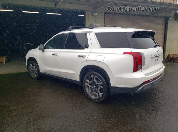 KM8R4DGE5PU628266 2023 HYUNDAI PALISADE Белый Задняя левая четверть