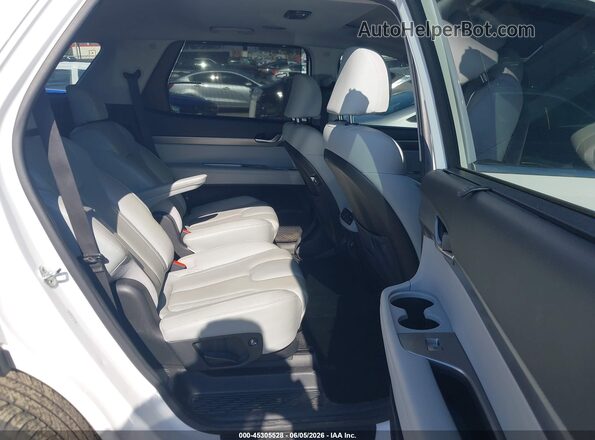 KM8R4DHE2LU112892 2020 HYUNDAI PALISADE White Vista de la etiqueta del VIN