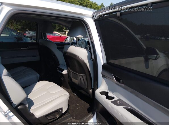 KM8R4DHE2LU169562 2020 HYUNDAI PALISADE White Widok naklejki z numerem VIN