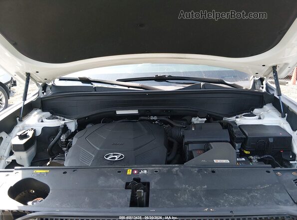 KM8R4DHE2LU169562 2020 HYUNDAI PALISADE White Widok z tyłu