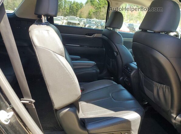 KM8R4DHE3LU092281 2020 HYUNDAI PALISADE Черный Вид задней части салона